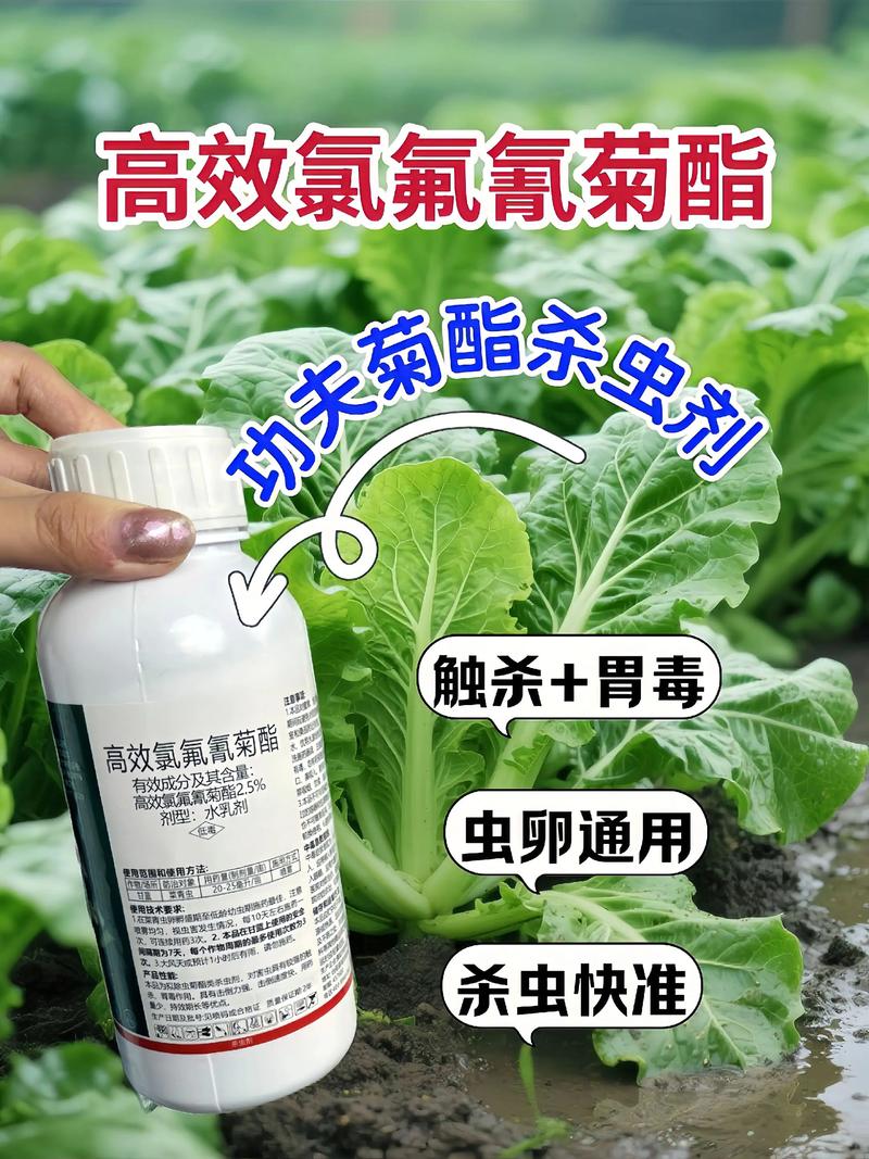 楚雄代生中心:农药对供卵代生妈妈的危害